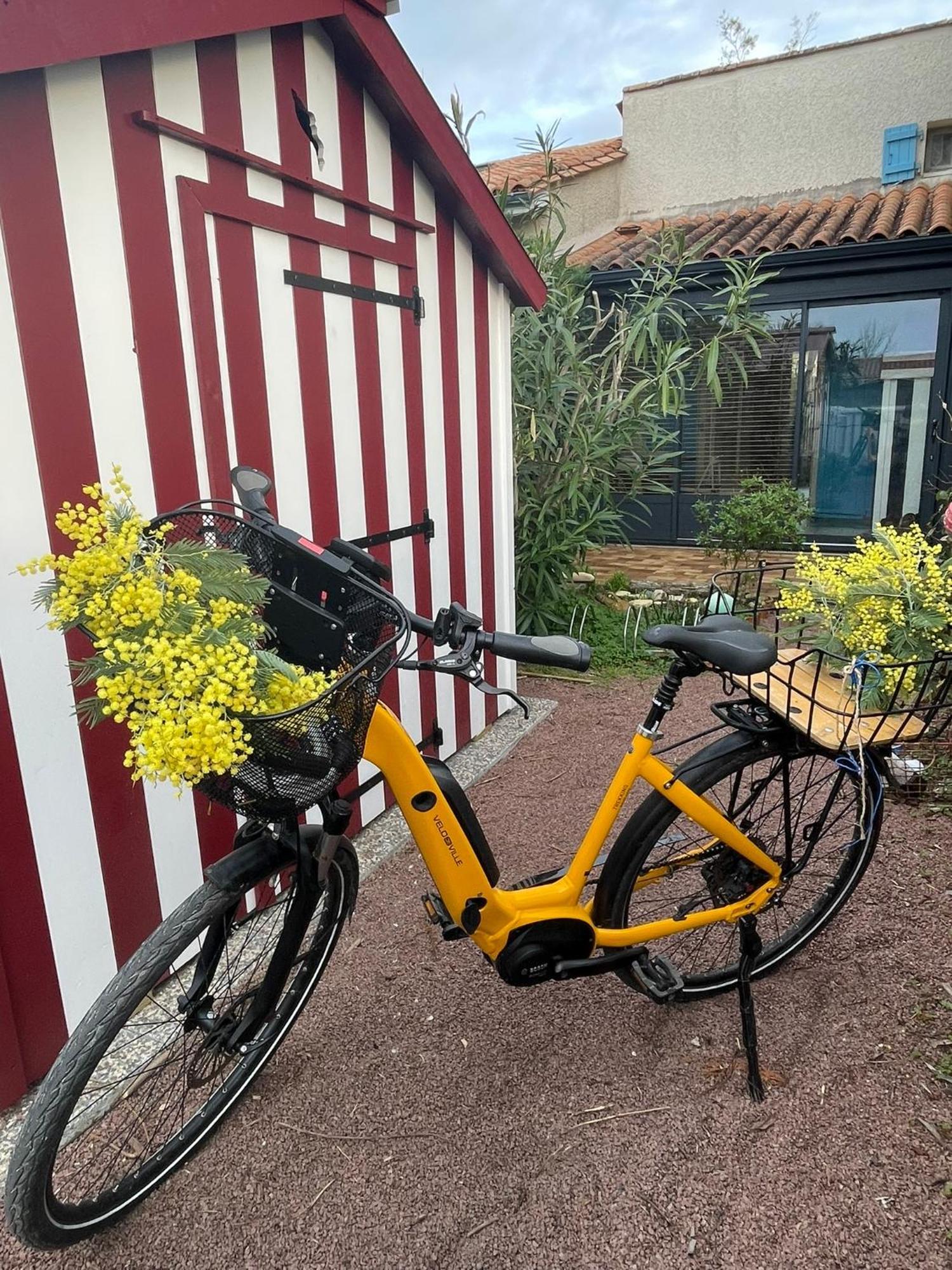 Les Mimosas Villa Saint-Trojan-les-Bains Bagian luar foto
